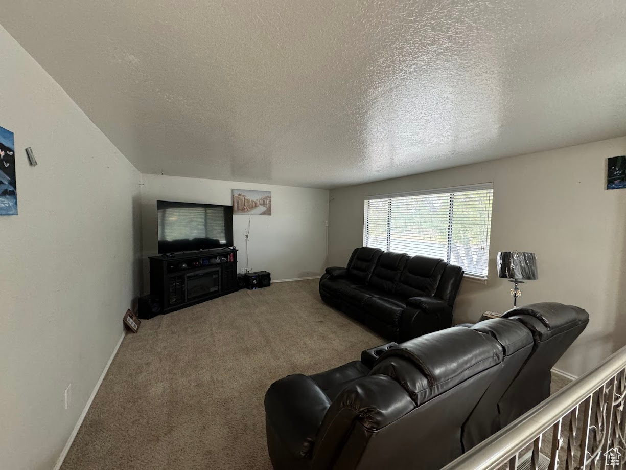 Carpeted living area featuring baseboards and a textured ceiling