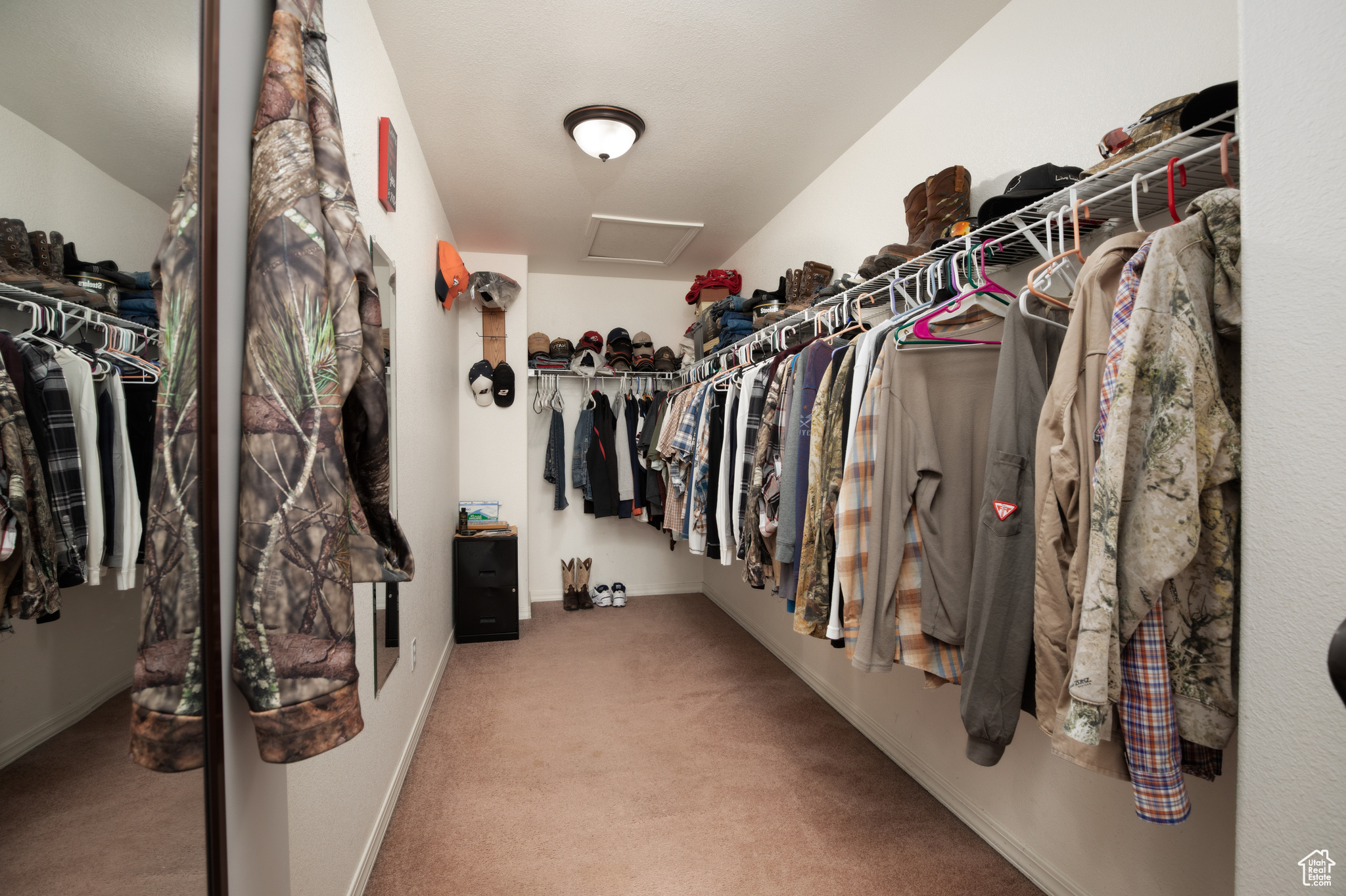 Walk in closet with carpet floors