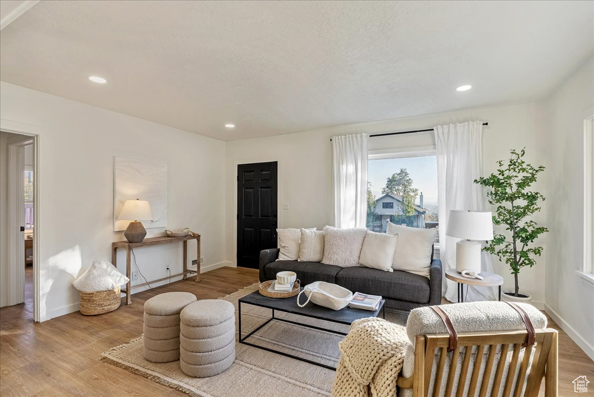 Living room featuring light hardwood / wood-style floors