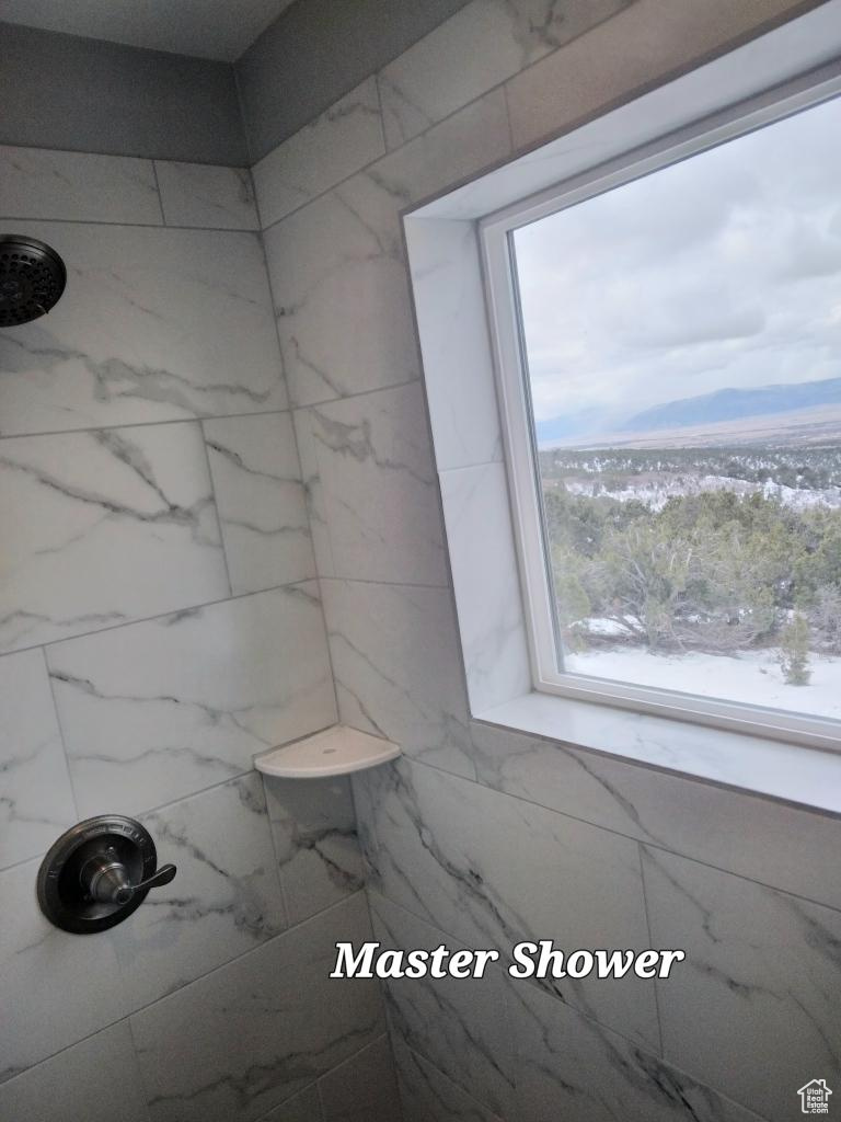 Master shower featuring views of valley