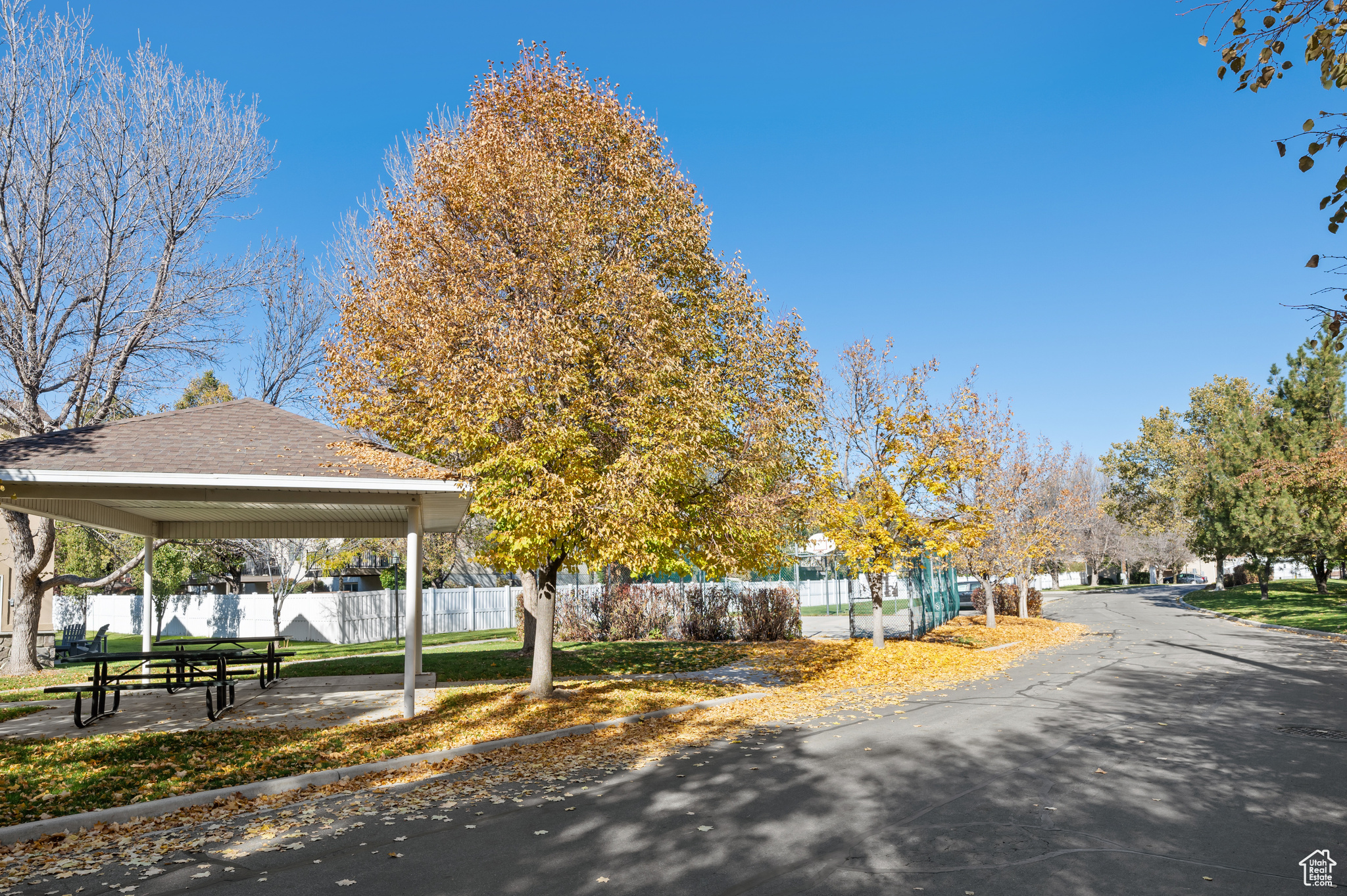 Community gazebo and basketball court