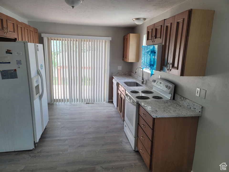 Kitchen featuring white appliances, plenty of natural light, sink, and light hardwood / wood-style flooring