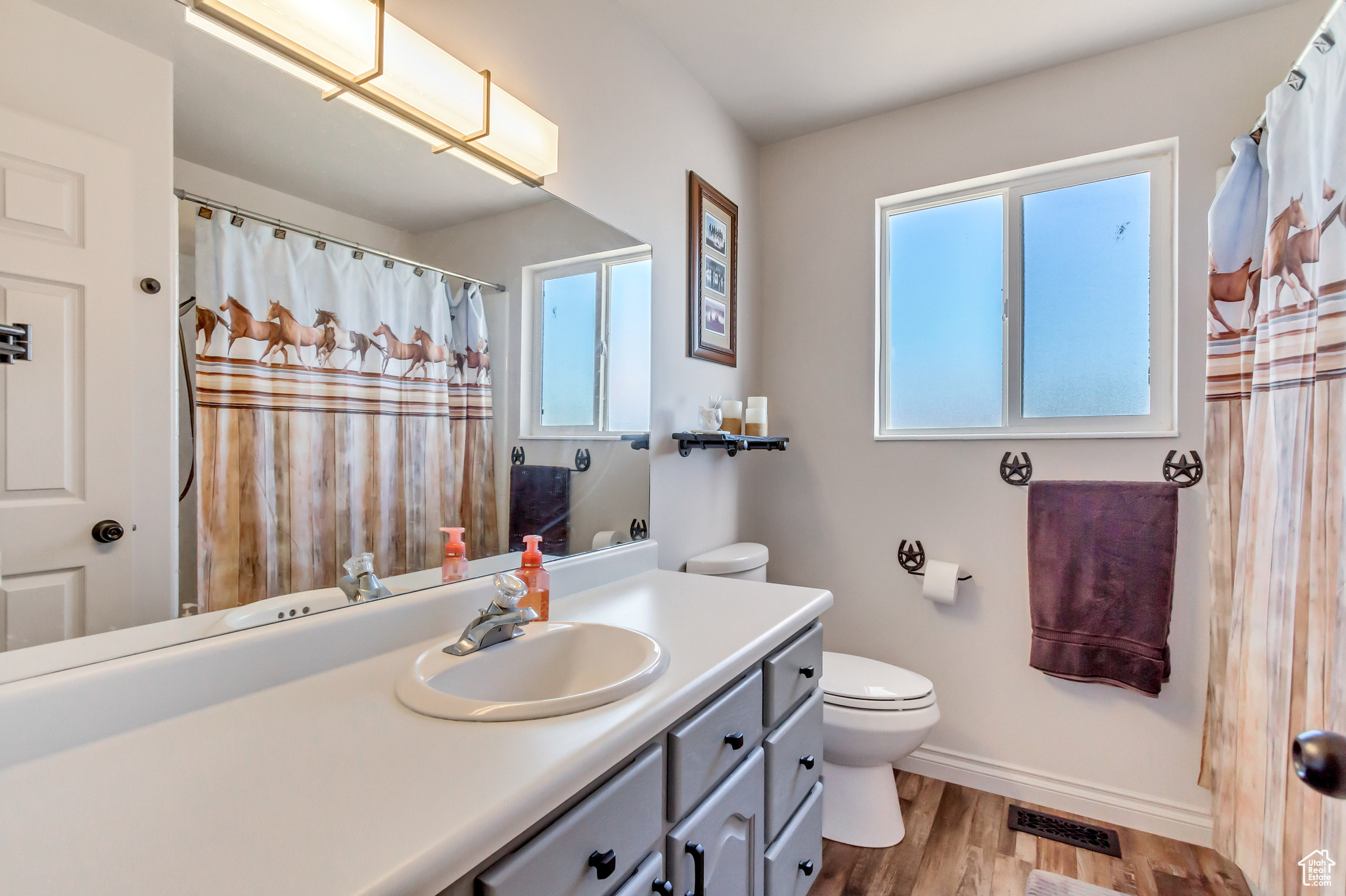 Bathroom with vanity, a healthy amount of sunlight, toilet, and wood-type flooring