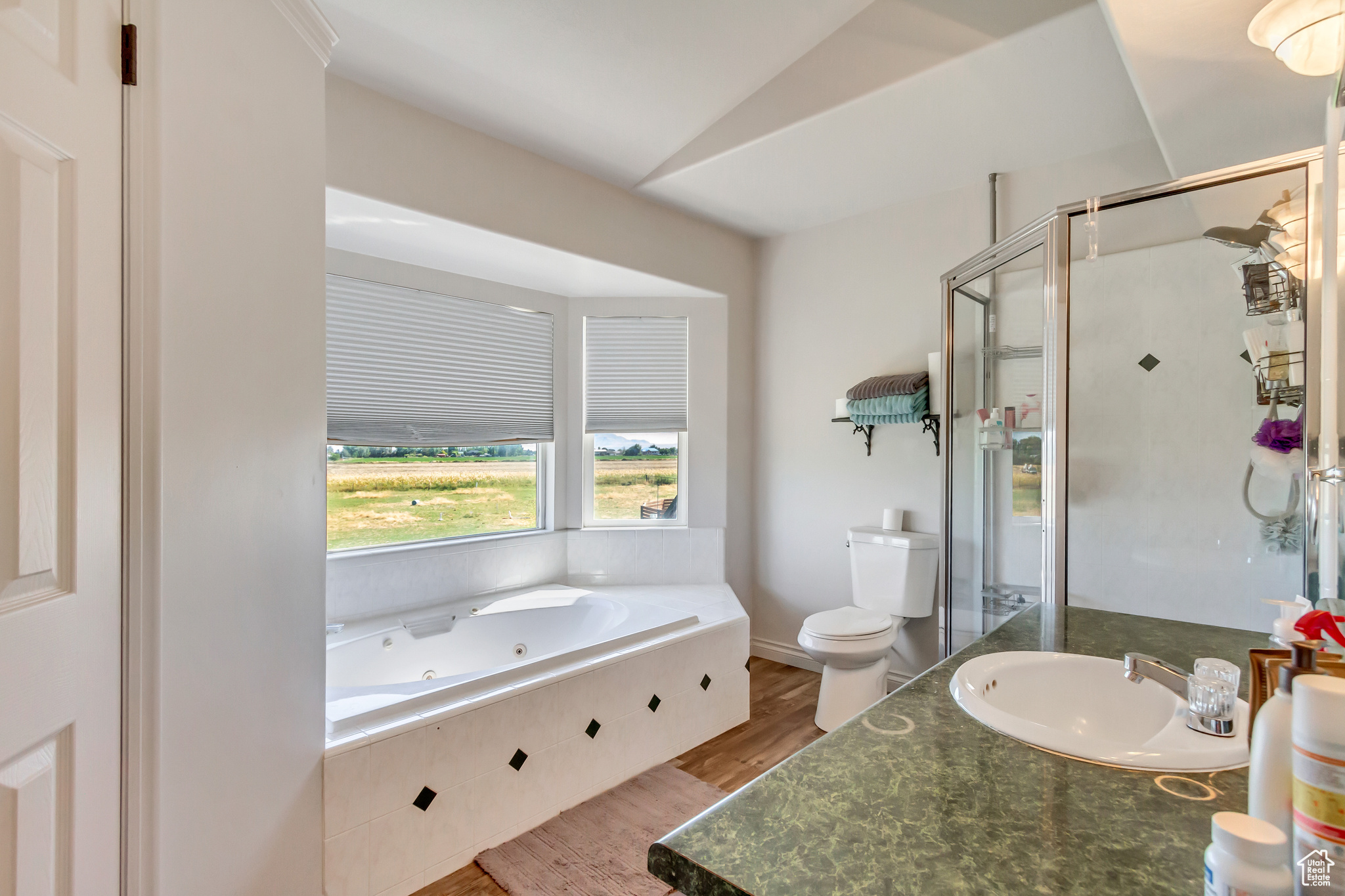 Full bathroom featuring hardwood / wood-style floors, vanity, lofted ceiling, toilet, and shower with separate bathtub