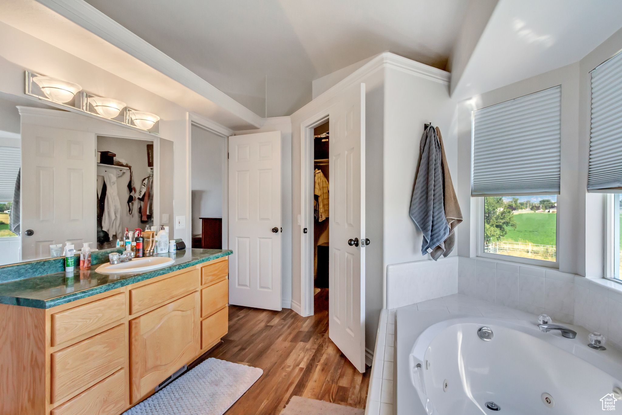 Bathroom featuring vanity, a relaxing tiled tub, and hardwood / wood-style flooring