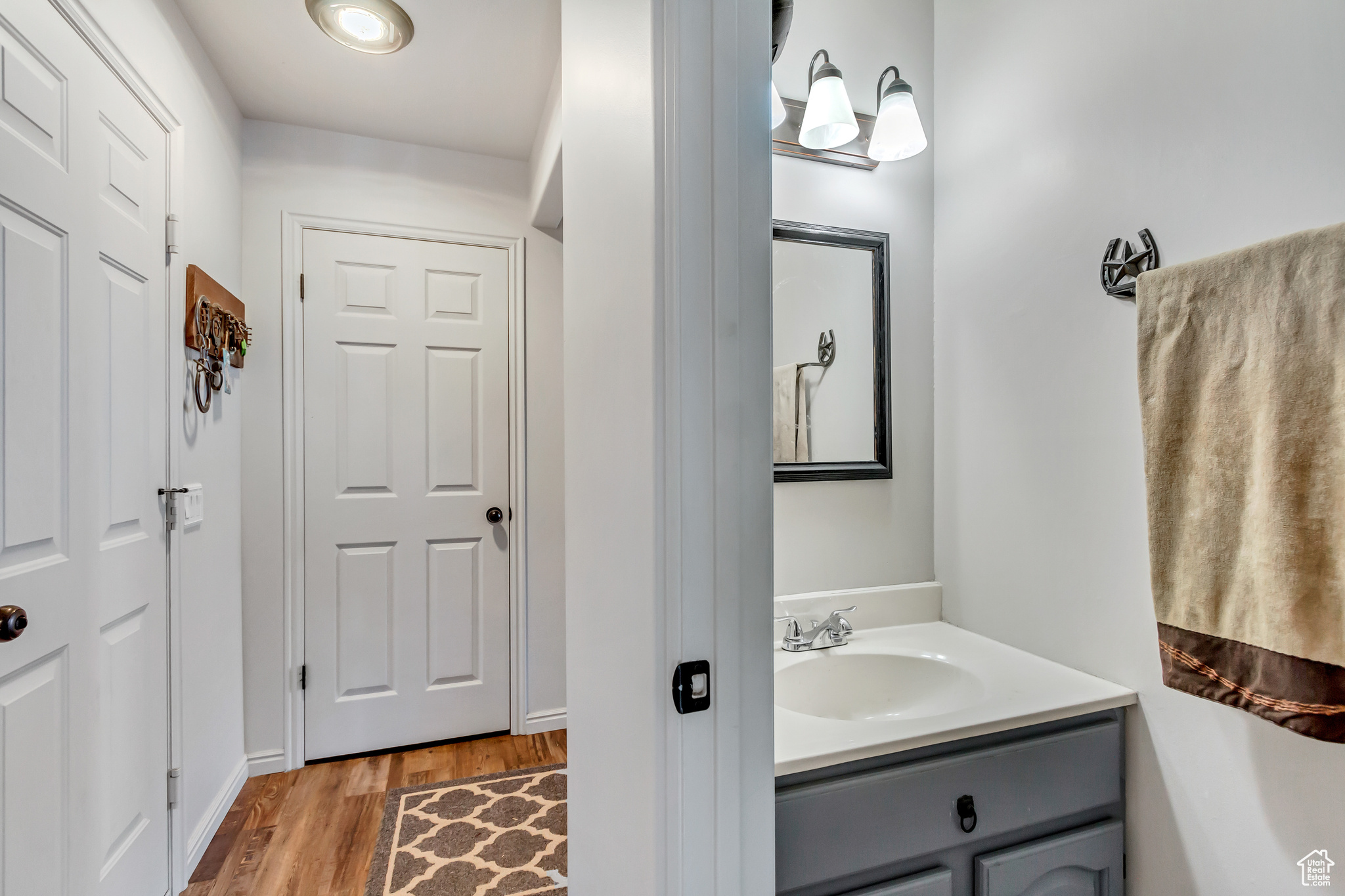 Bathroom with vanity and wood-type flooring