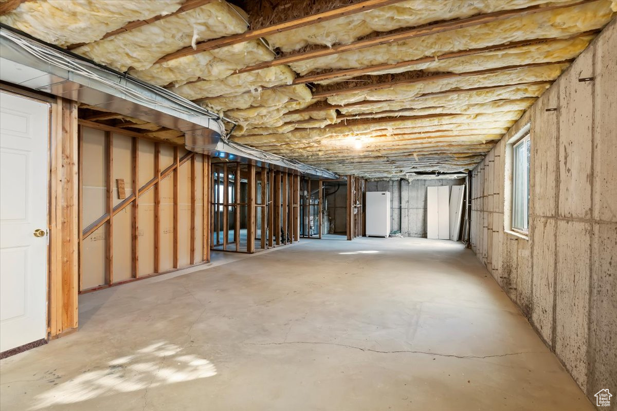 Basement with storage freezer