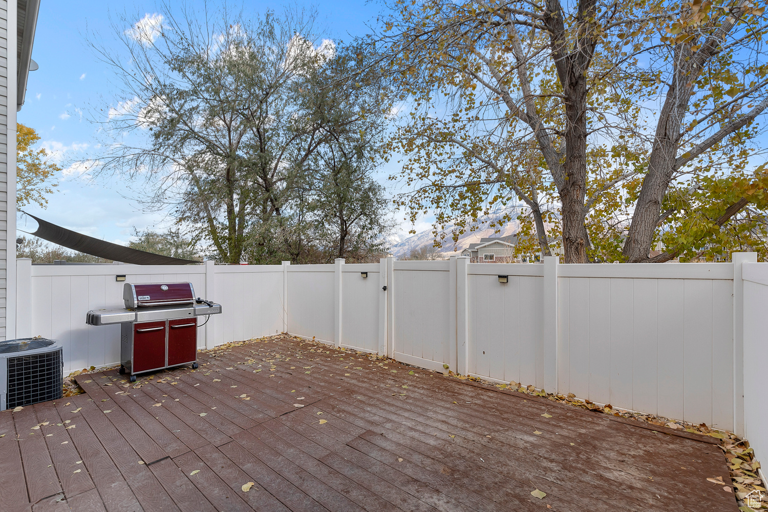 Deck with central air condition unit and a grill