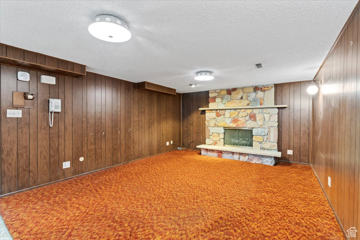 Basement with wood walls, a fireplace, carpet, and a textured ceiling