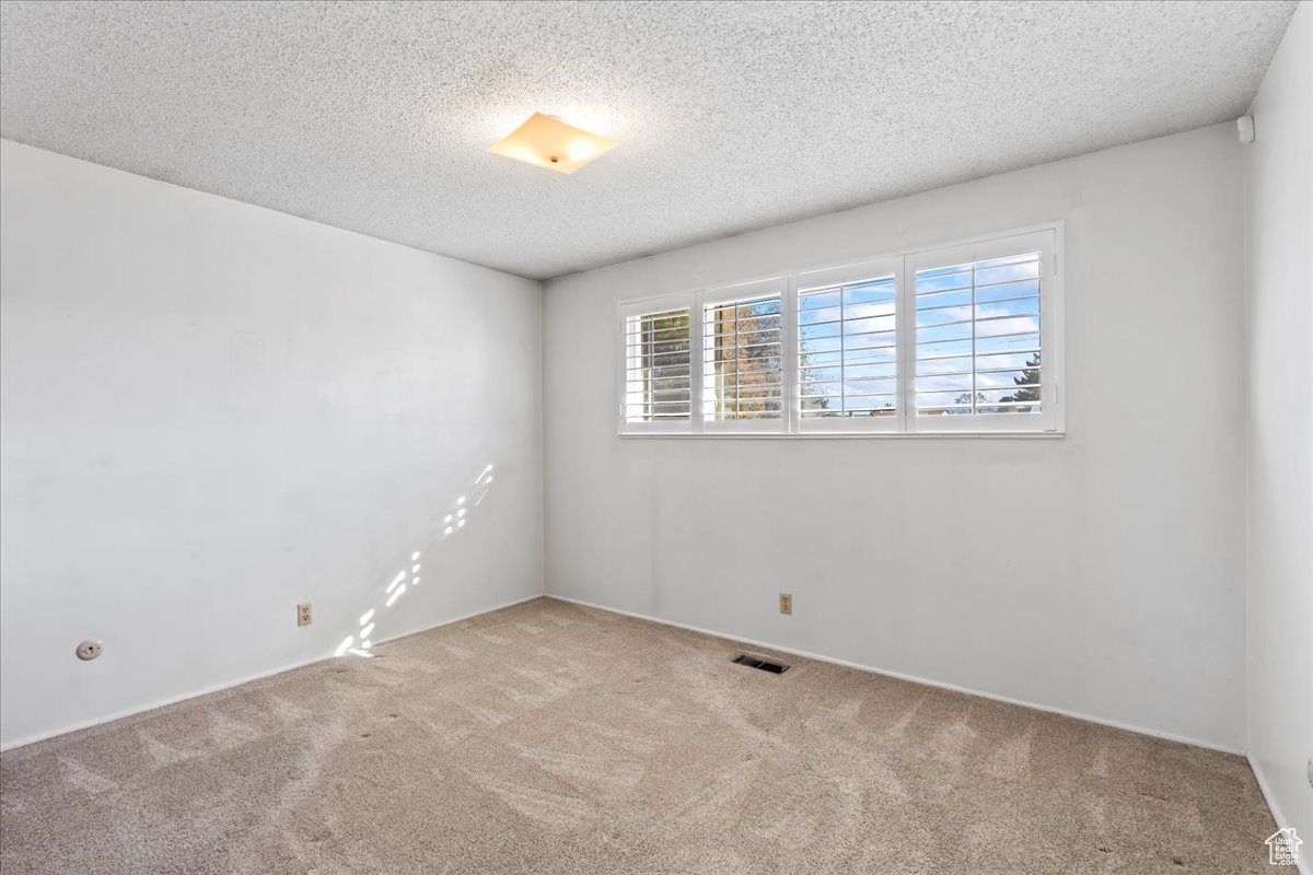 Unfurnished room featuring light colored carpet and a textured ceiling