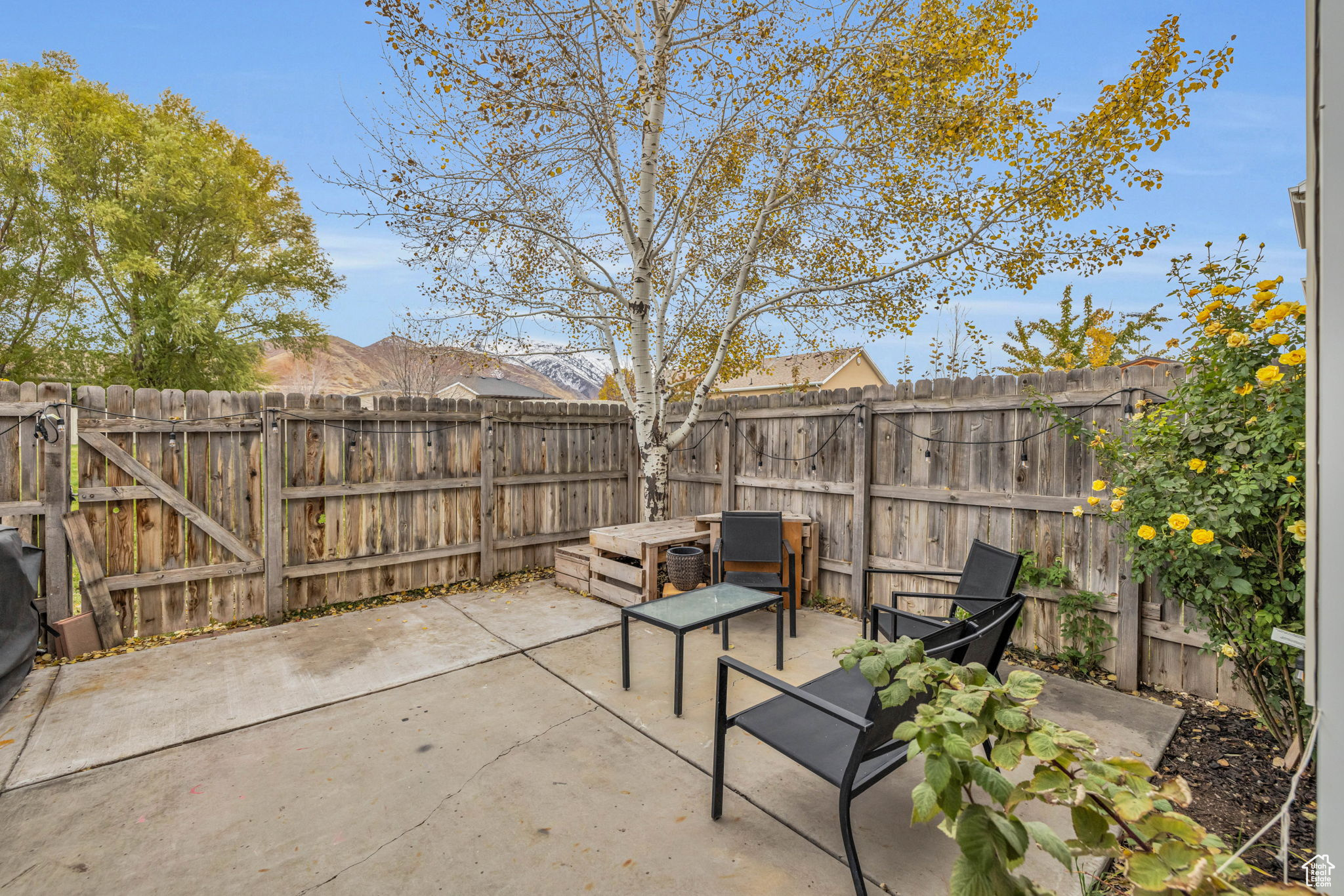 View of patio