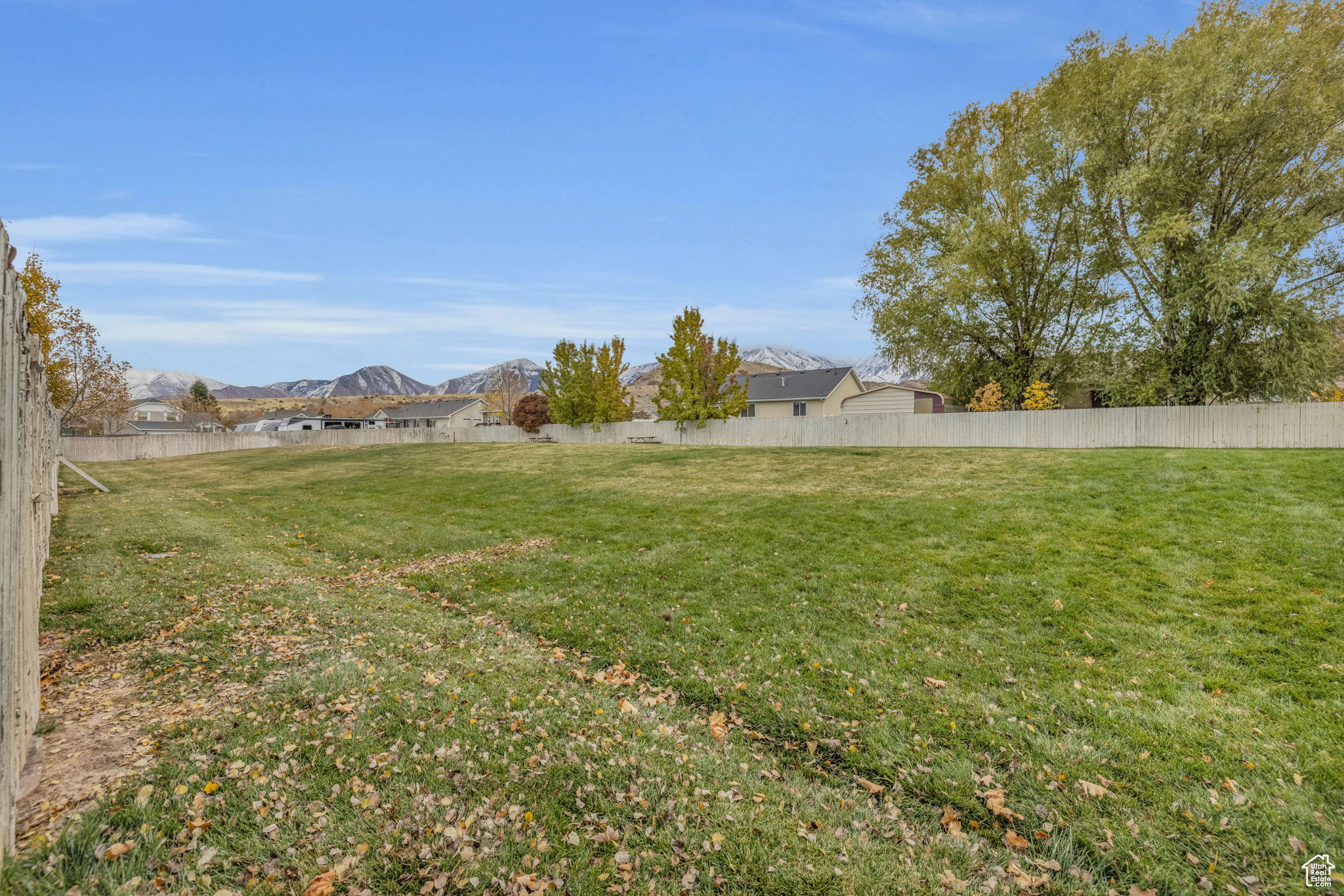 Greenspace with a mountain view