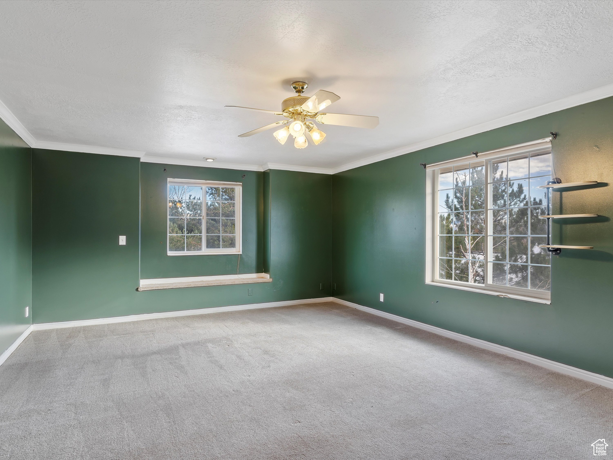 Spare room featuring plenty of natural light and carpet