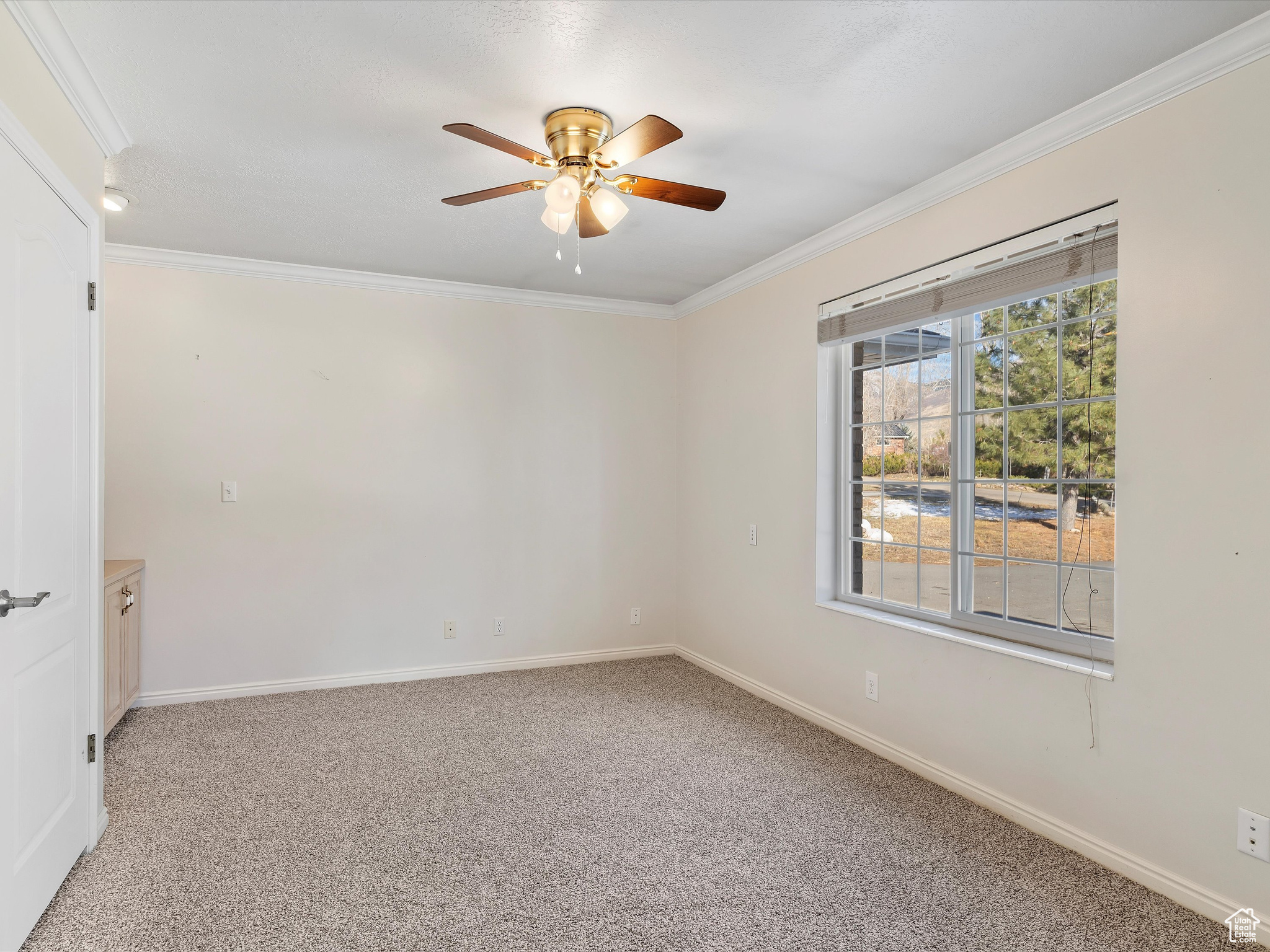 Carpeted empty room with ceiling fan and ornamental molding