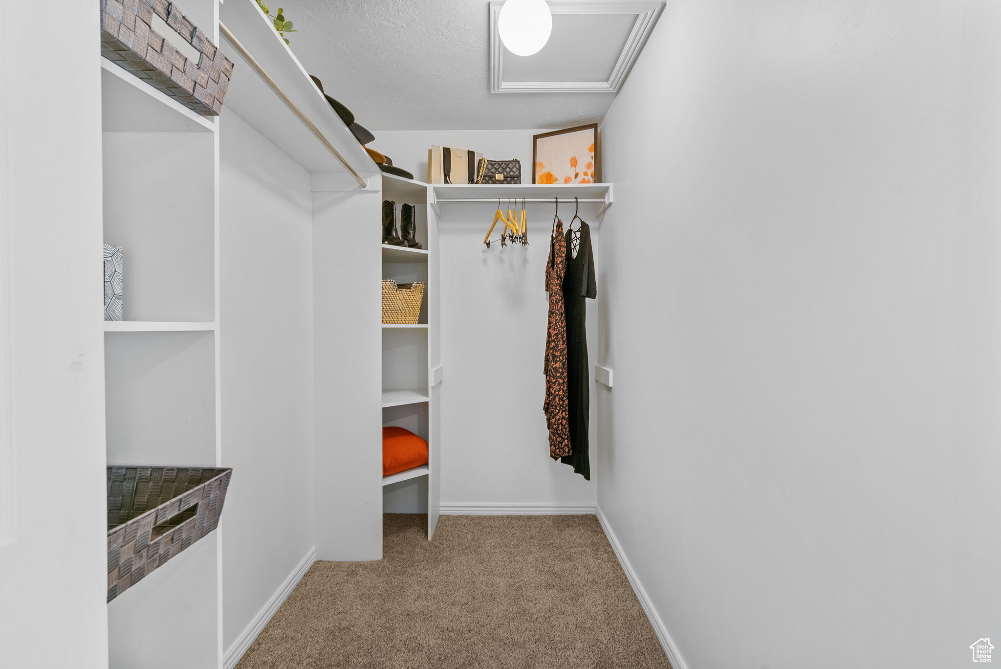 Walk in closet with light colored carpet