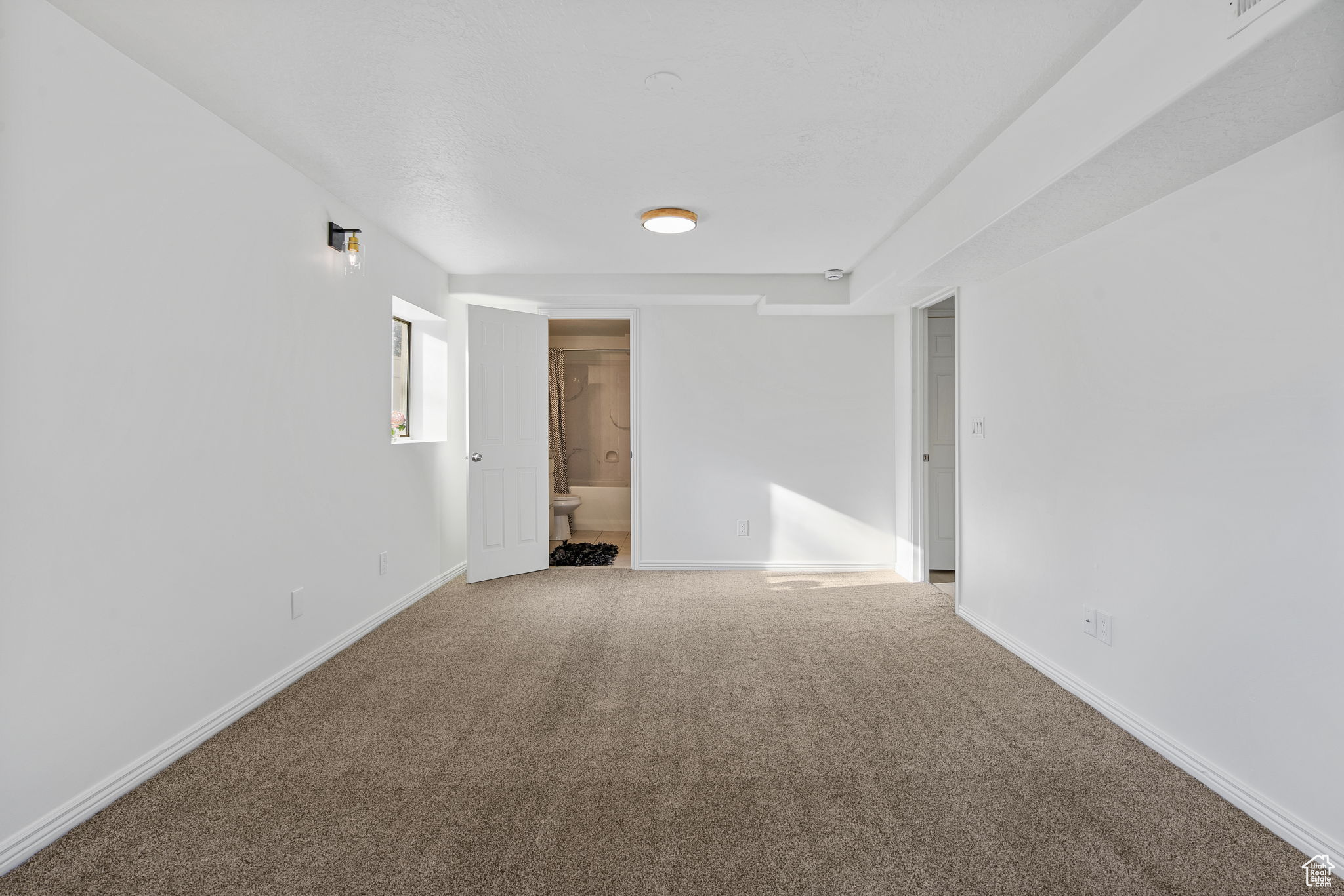 Basement second family room