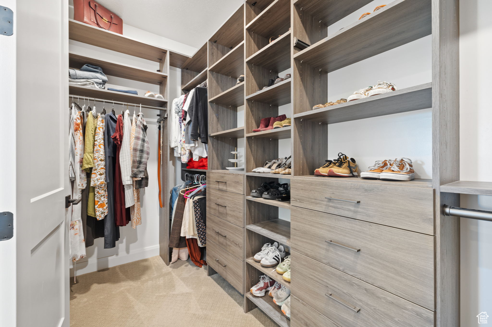 Spacious closet featuring light carpet