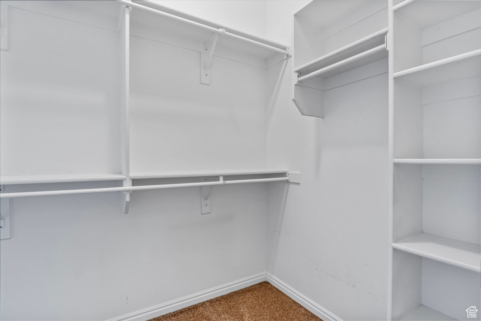 Spacious closet featuring carpet