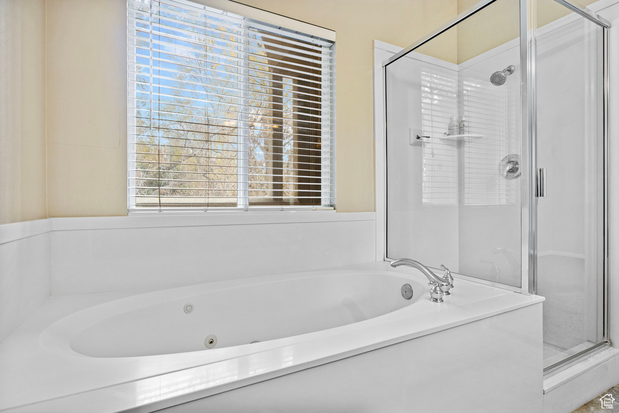 Bathroom featuring separate shower and tub