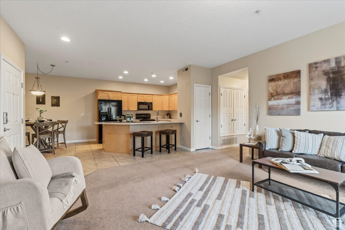 Living room featuring light colored carpet and sink