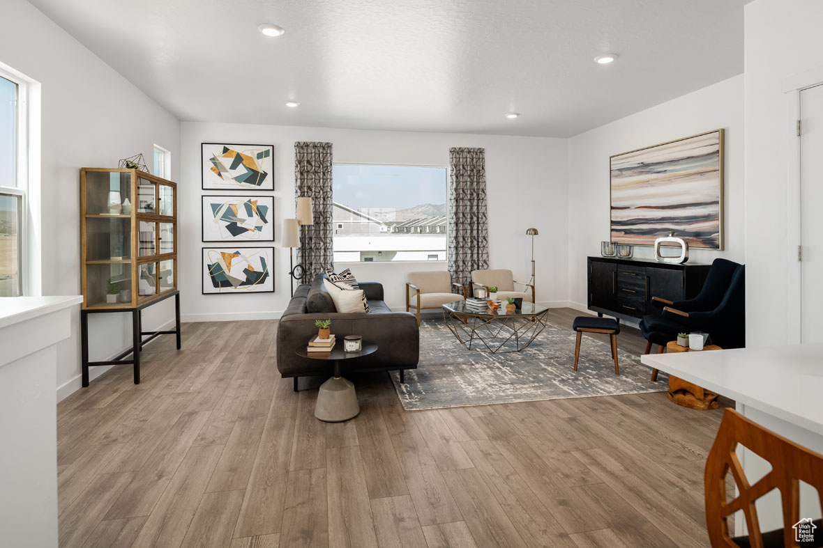 Living room featuring light hardwood / wood-style floors