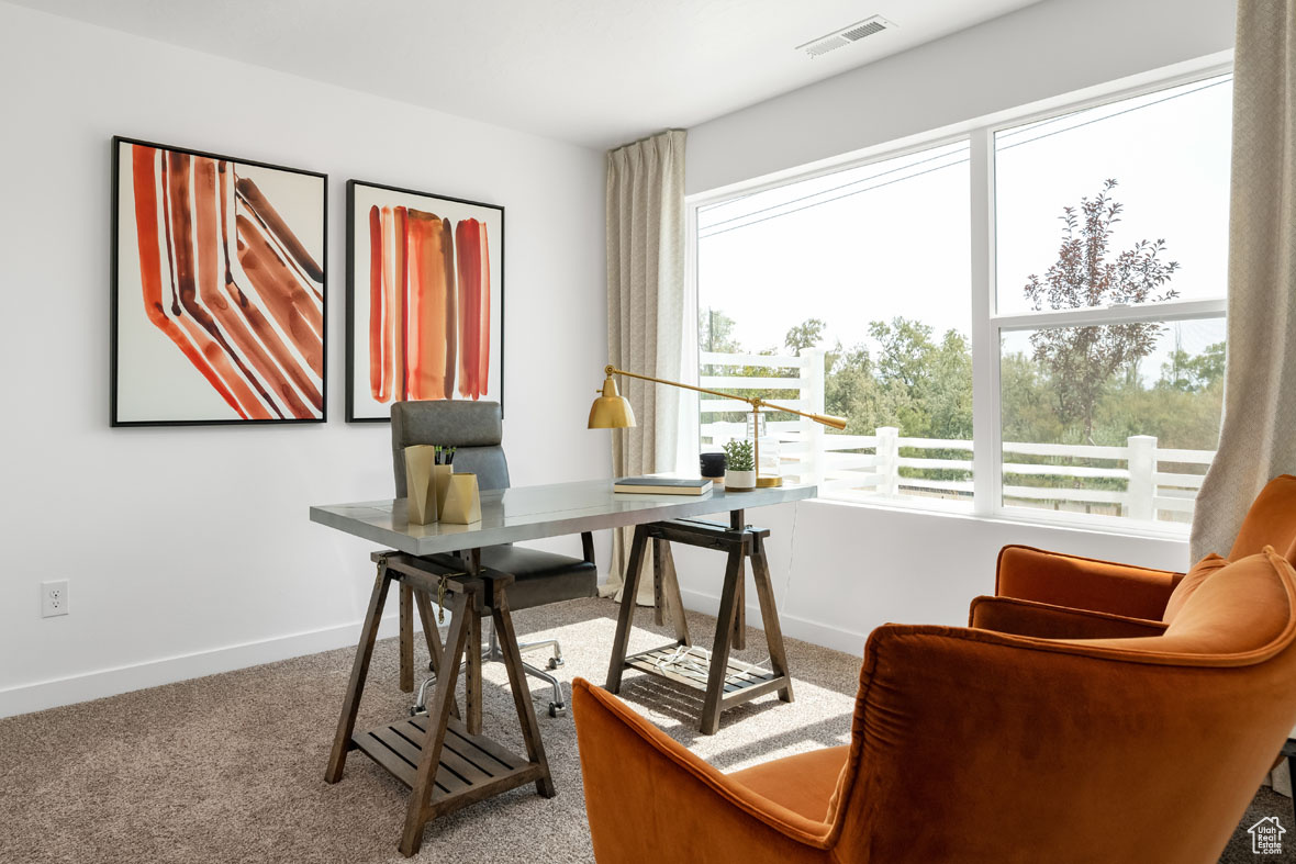 Home office with carpet floors