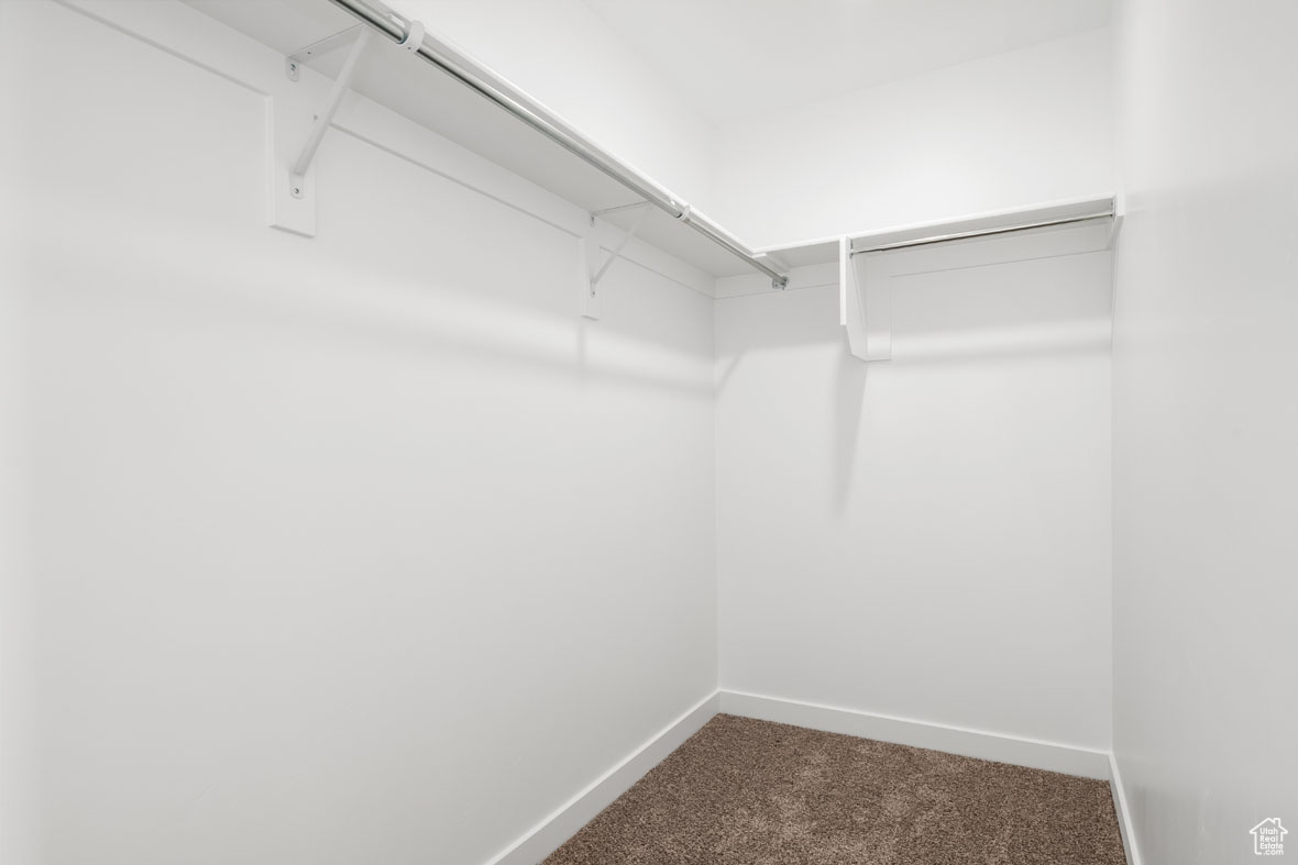 Spacious closet featuring carpet flooring