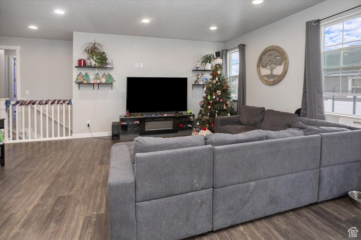 Living room with dark hardwood / wood-style flooring and a wealth of natural light