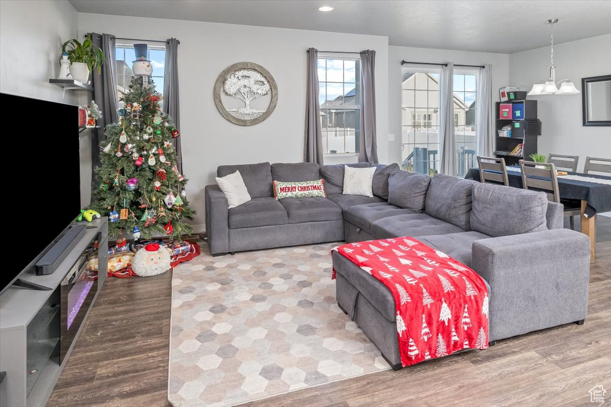 Living room featuring wood-type flooring