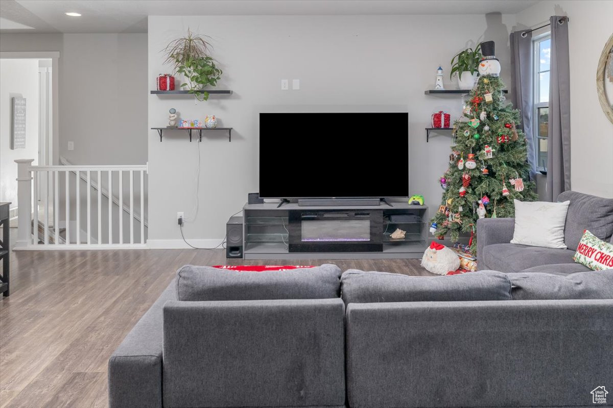 Living room featuring wood-type flooring