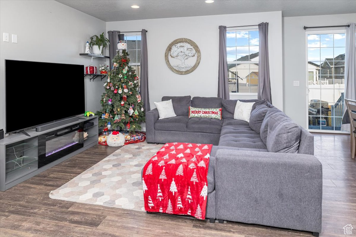 Living room featuring dark hardwood / wood-style floors