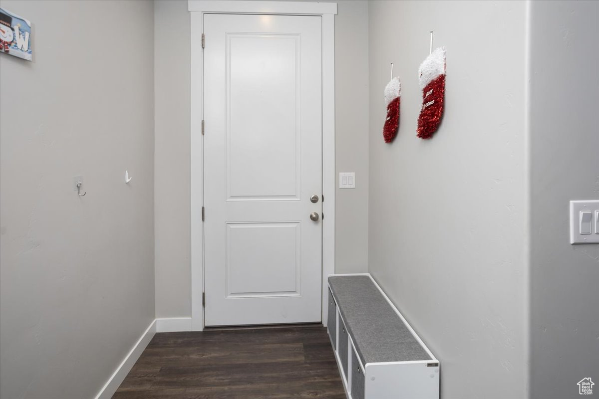 Entryway with dark wood-type flooring