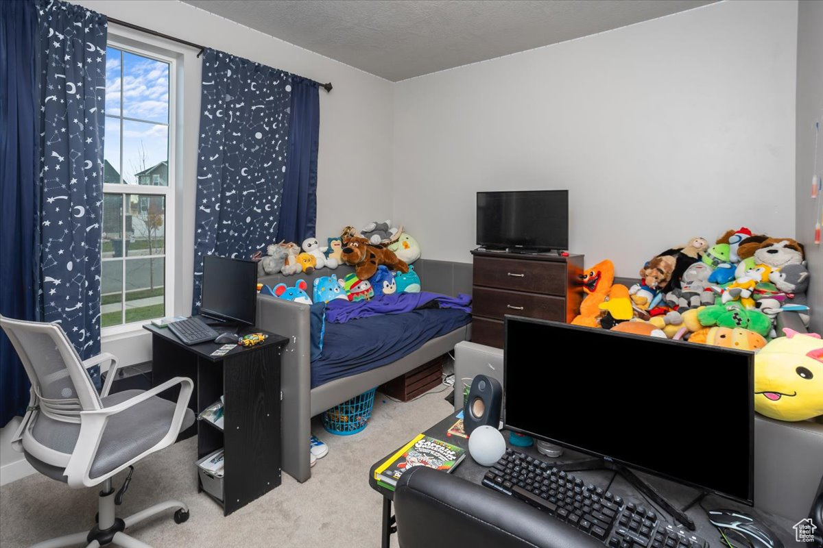 Carpeted bedroom featuring multiple windows