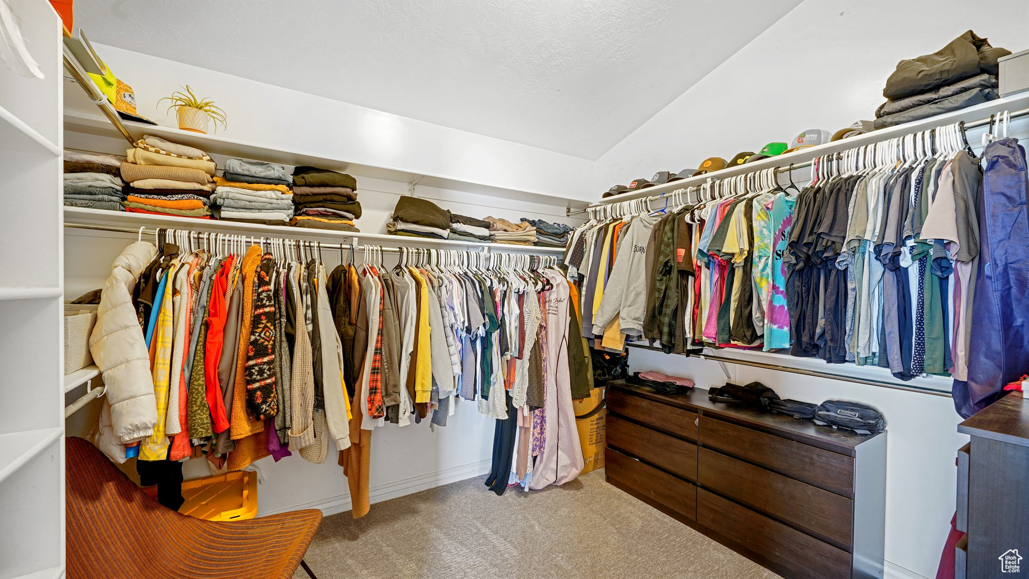 Walk in closet featuring carpet flooring and vaulted ceiling