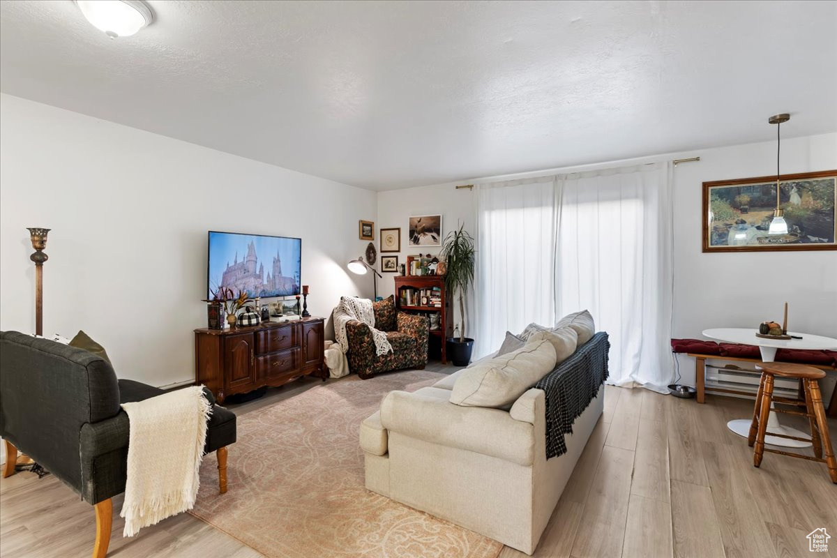 Living room with light hardwood / wood-style floors