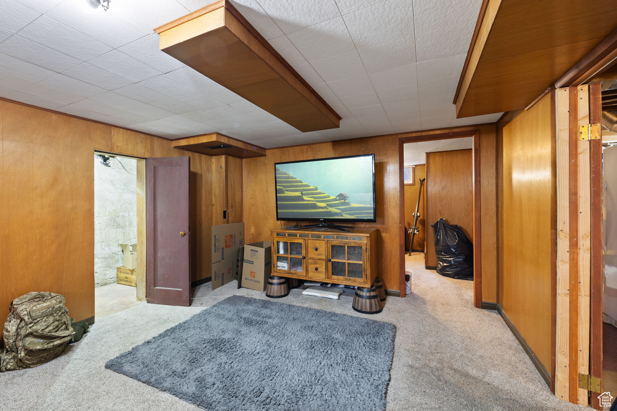 Large basement family room