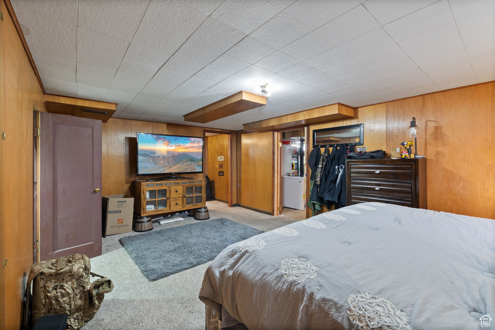 Large basement family room