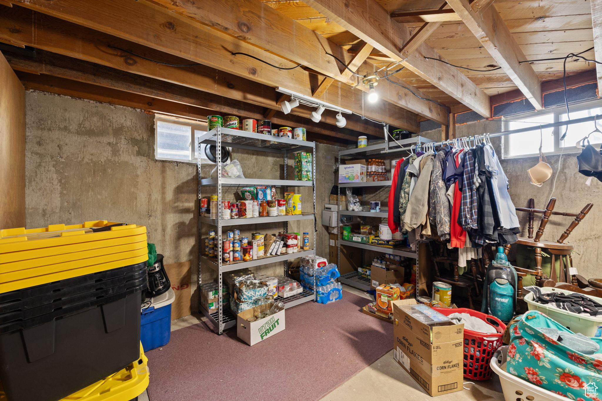 Basement featuring a wealth of natural light