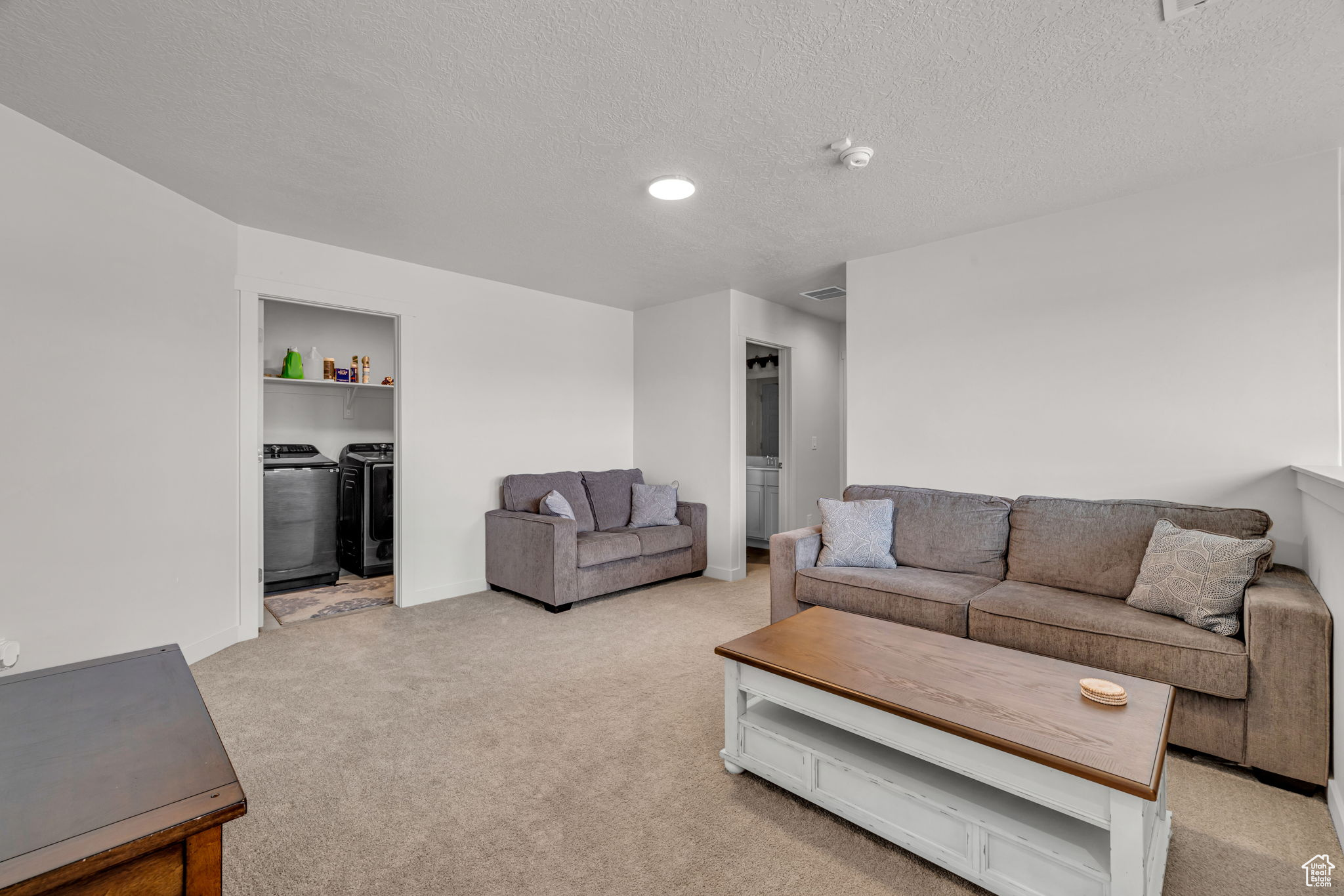 Living room featuring light carpet, a textured ceiling, and washing machine and clothes dryer