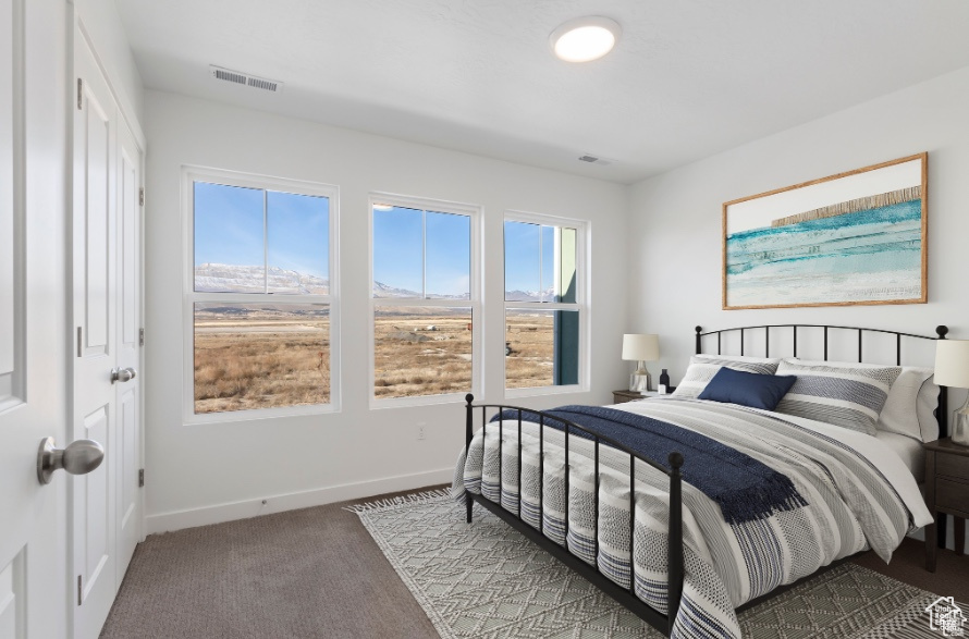 Carpeted bedroom with a mountain view and multiple windows