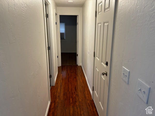 Hallway with dark hardwood / wood-style floors