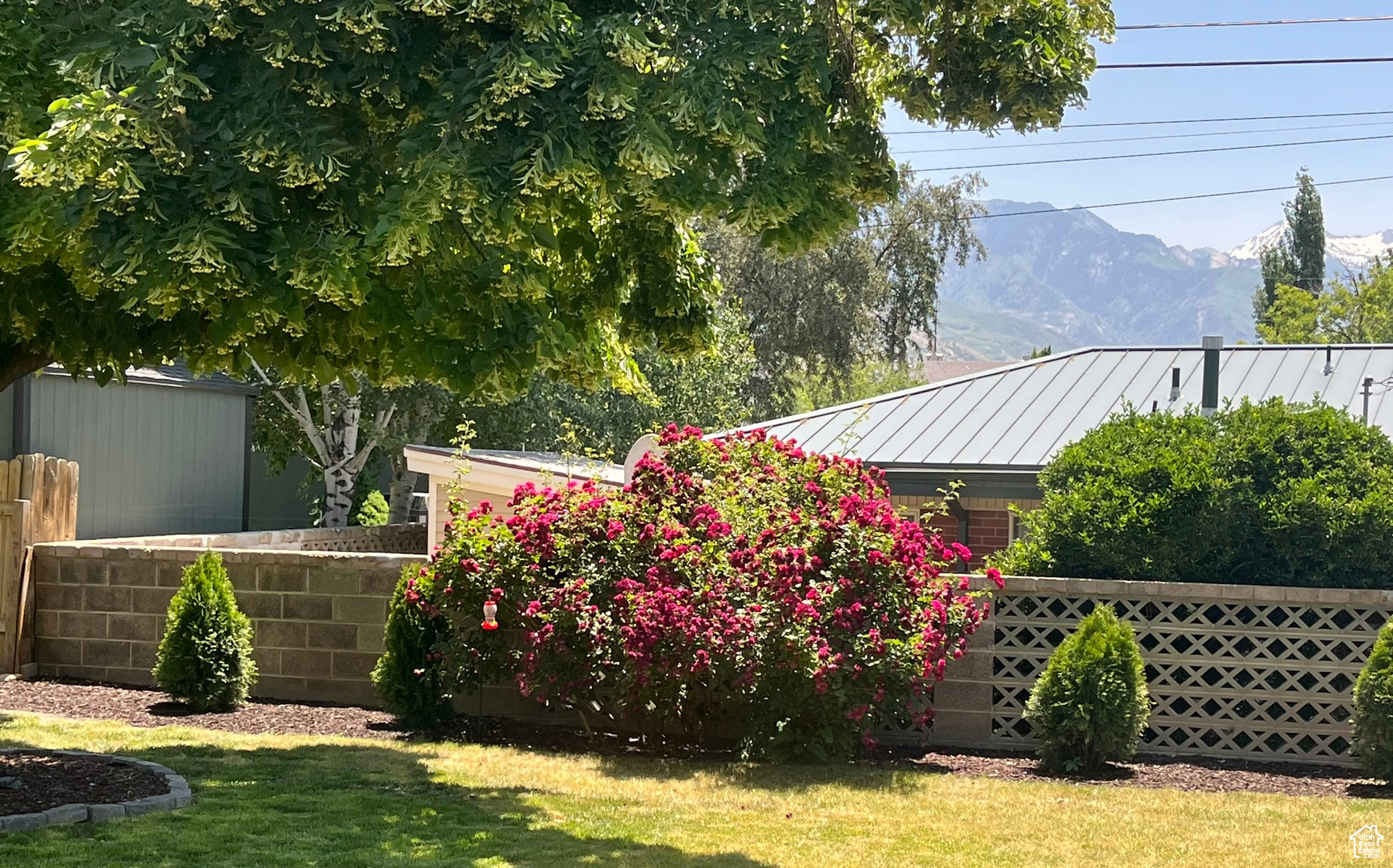 View of yard with a mountain view