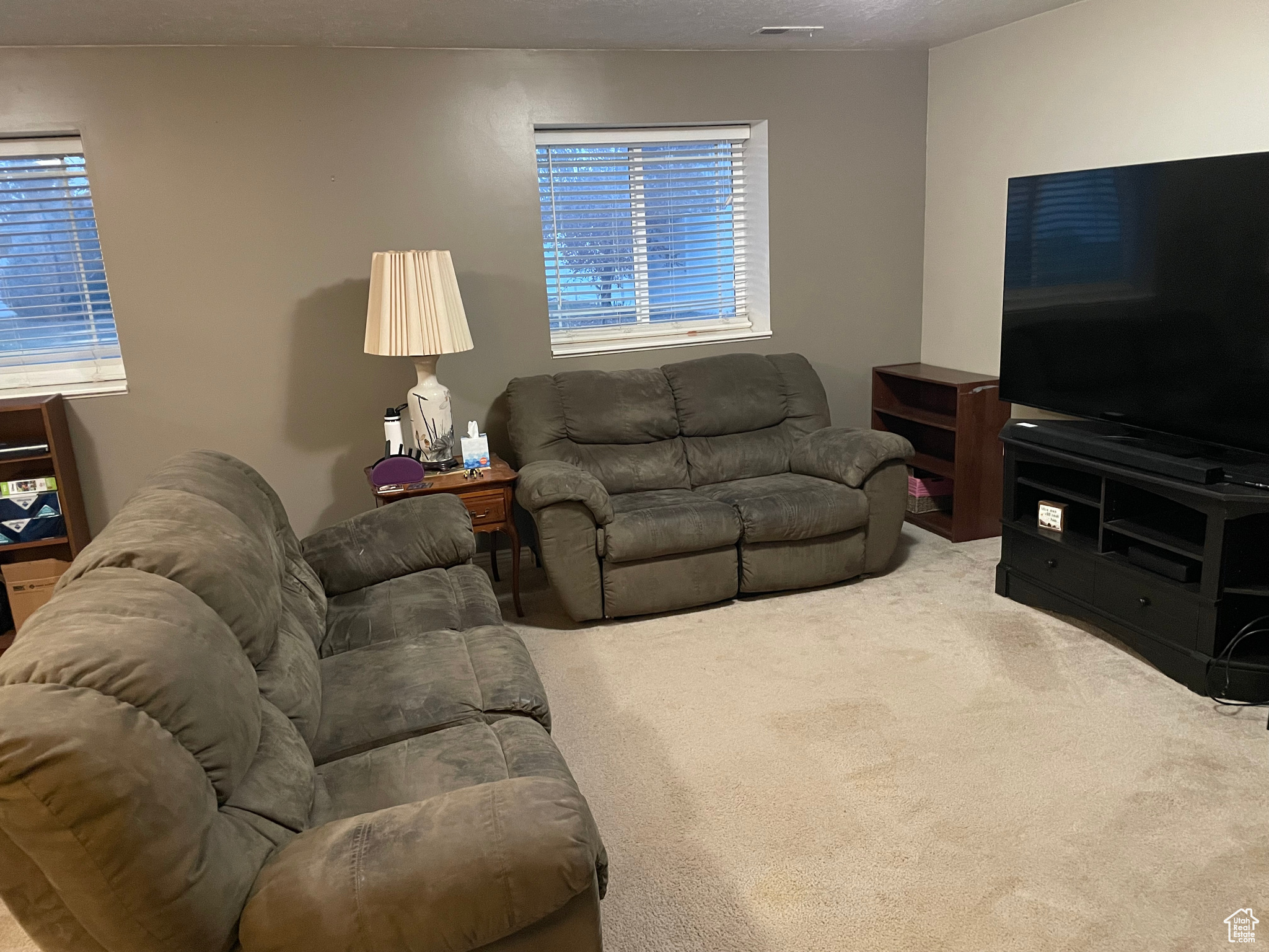 Living room featuring carpet floors