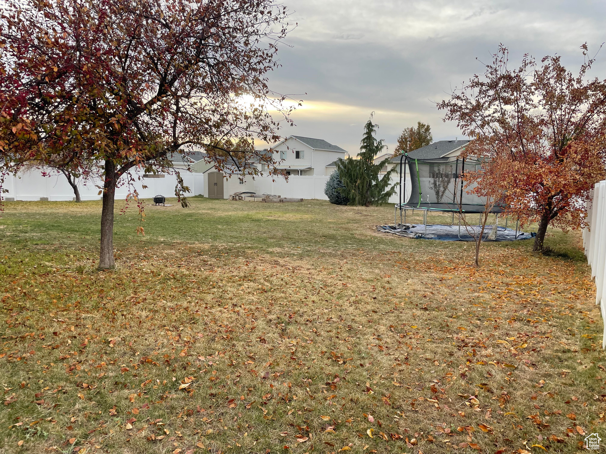 View of backyard with a trampoline