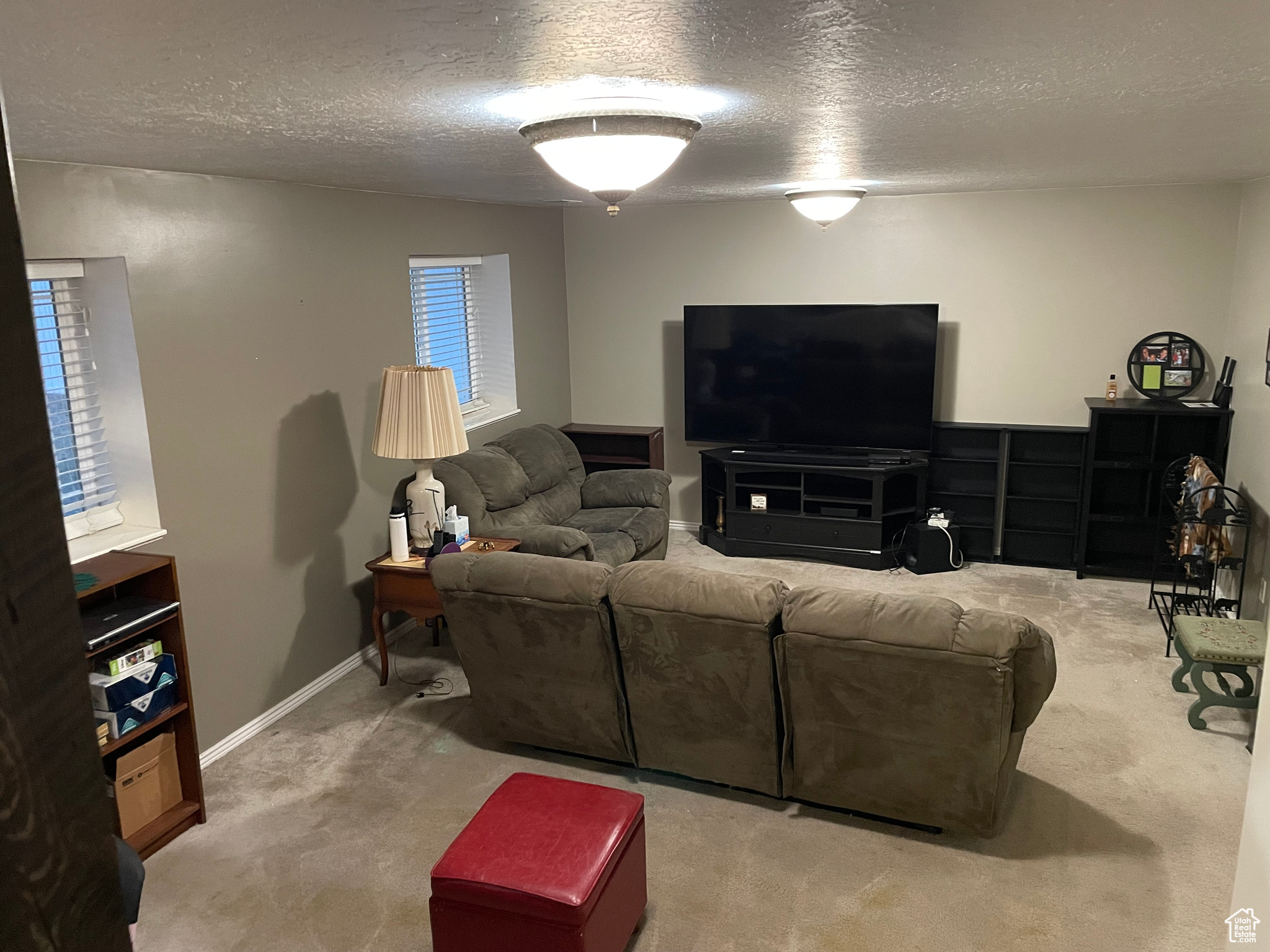 Carpeted living room featuring a textured ceiling and a wealth of natural light