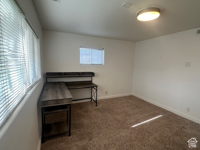 Miscellaneous room with dark colored carpet and plenty of natural light