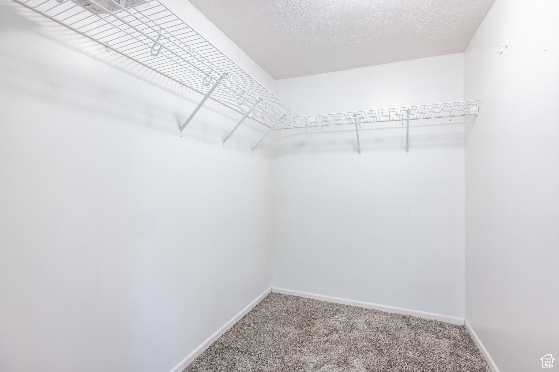 Spacious closet featuring carpet