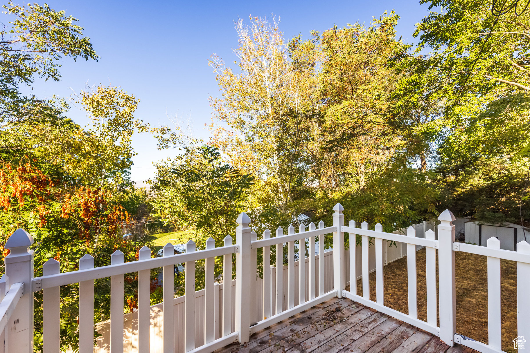 View of deck