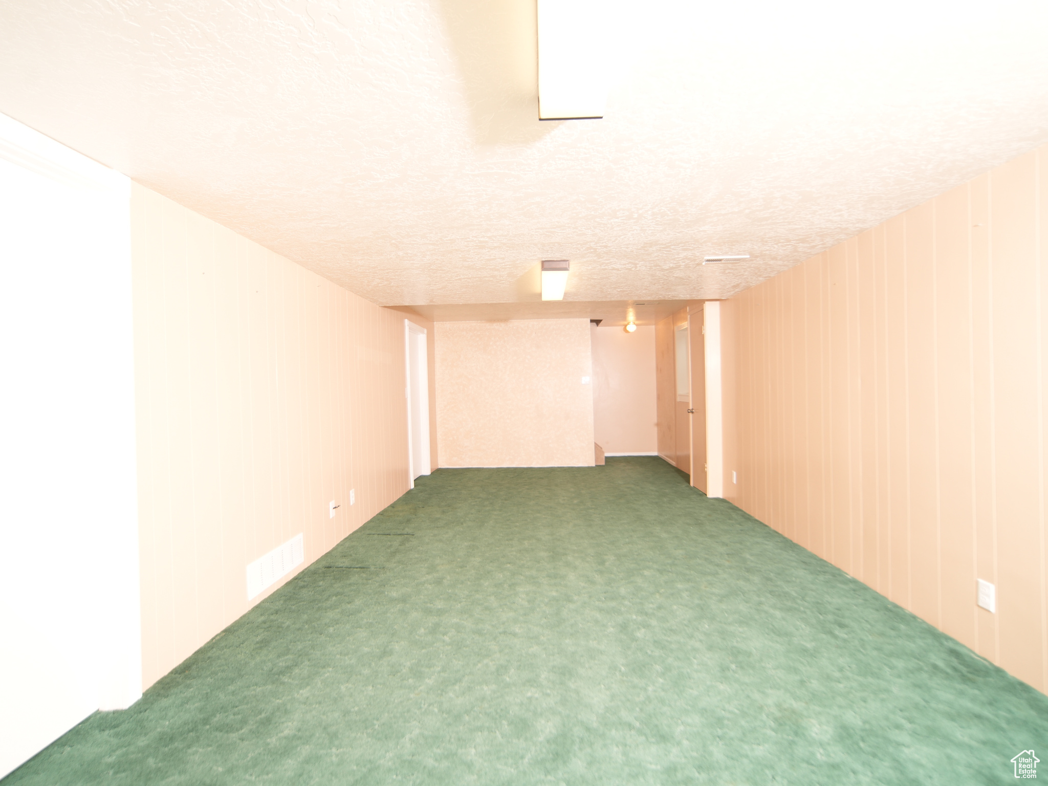 Basement featuring carpet flooring and a textured ceiling