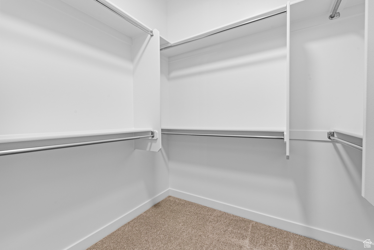 Walk in closet featuring carpet floors